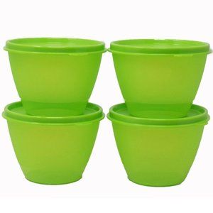 Tupperware set of 4 bowls NEW
